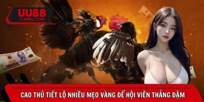 cao-thu-tiet-lo-nhieu-meo-vang-de-hoi-vien-thang-dam