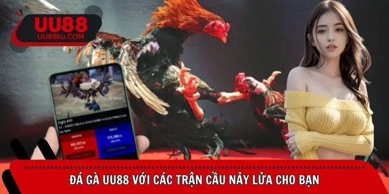 da-ga-uu88-voi-cac-tran-cau-nay-lua-cho-ban