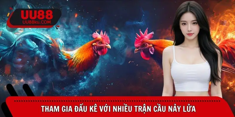 tham-gia-dau-ke-voi-nhieu-tran-cau-nay-lua